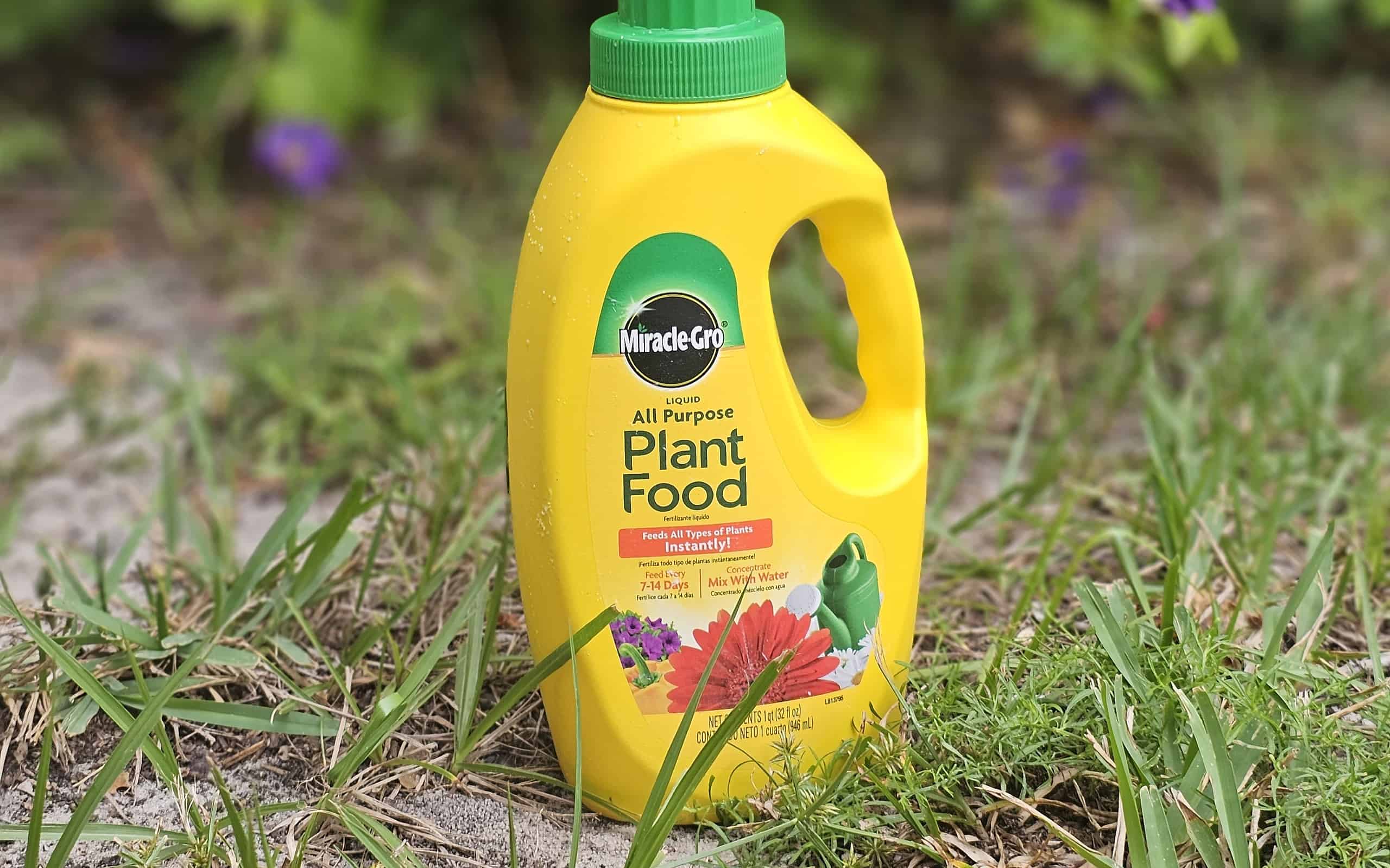 A bottle of miracle grow plant food in a yard