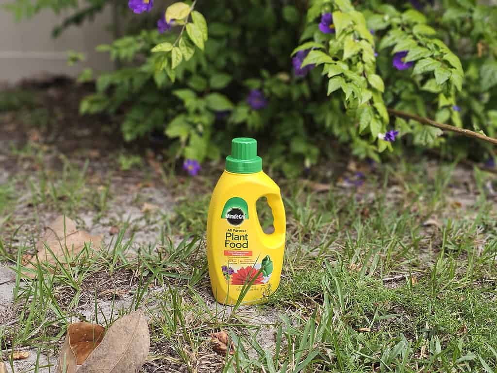 A bottle of Miracle-Gro Plant Food on the ground.
