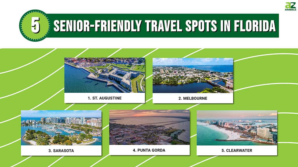 5 Senior-Friendly Travel Spots in Florida