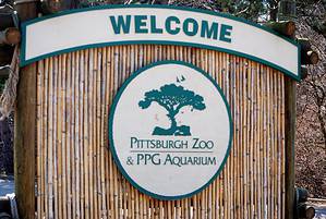Pittsburgh Zoo & Aquarium: Ideal Time to Go + 50+ Amazing Animals to See Picture