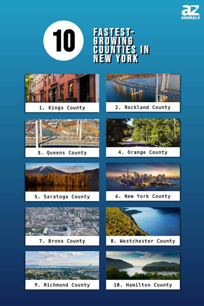 Infographic of 10 Fastest-Growing Counties in New York