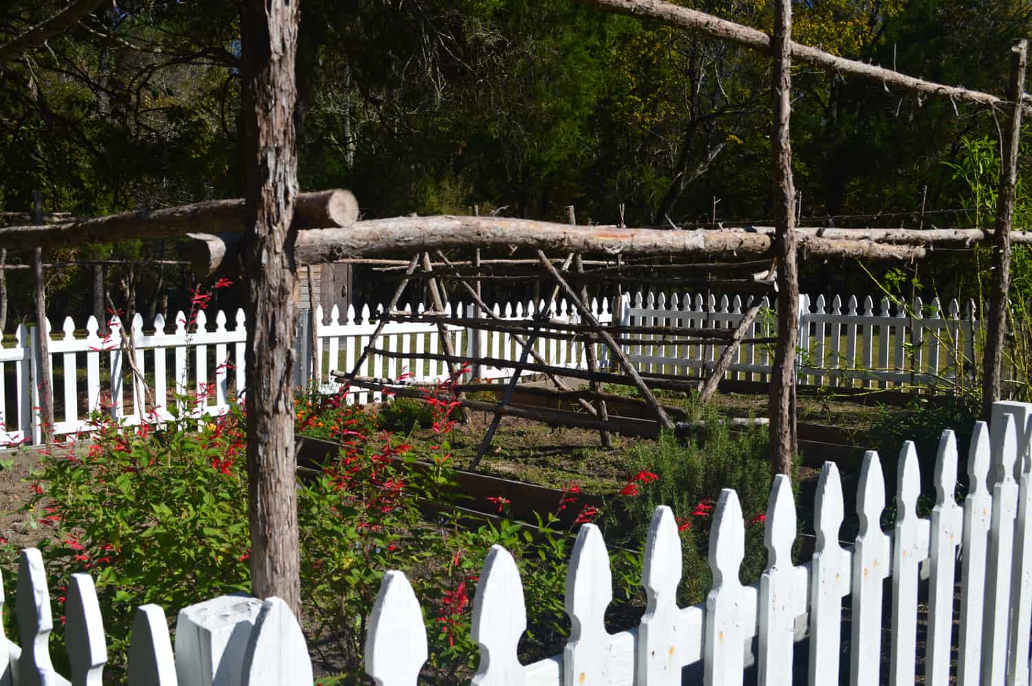 discover-the-largest-plantation-in-north-carolina