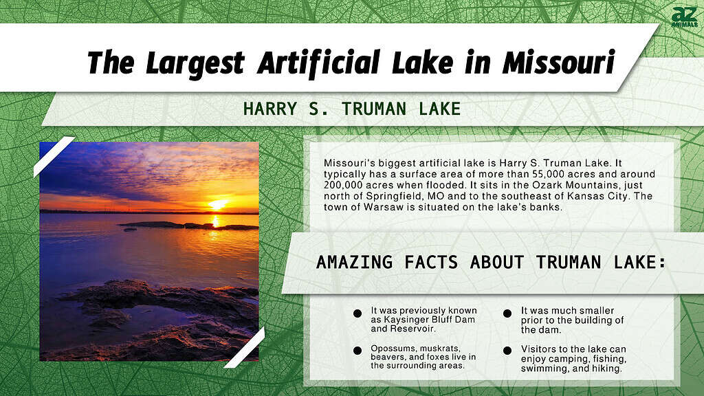 Infographic of the Largest Artificial Lake in Missouri 