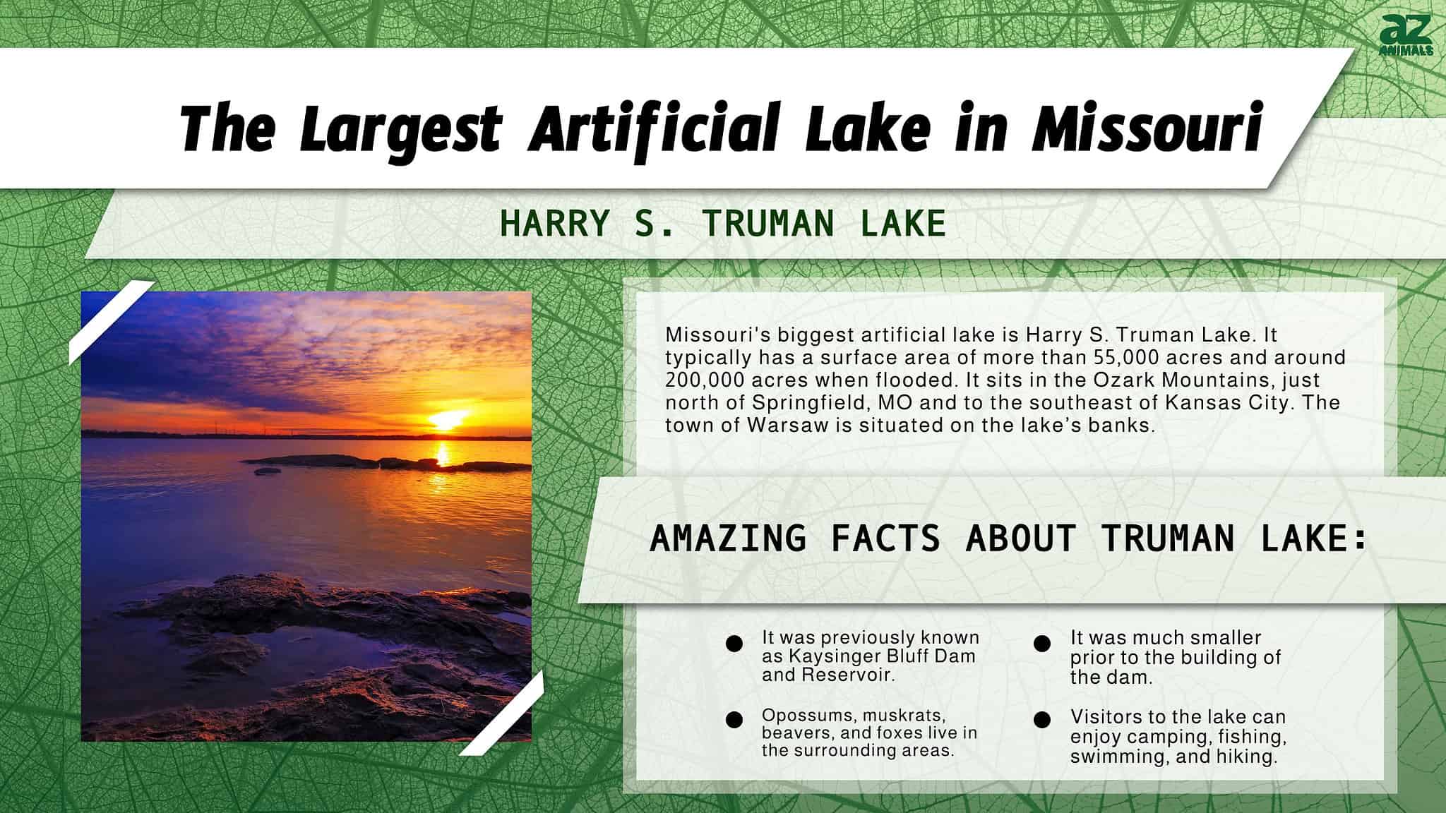 What's the Largest Artificial Lake in Missouri? - A-Z Animals