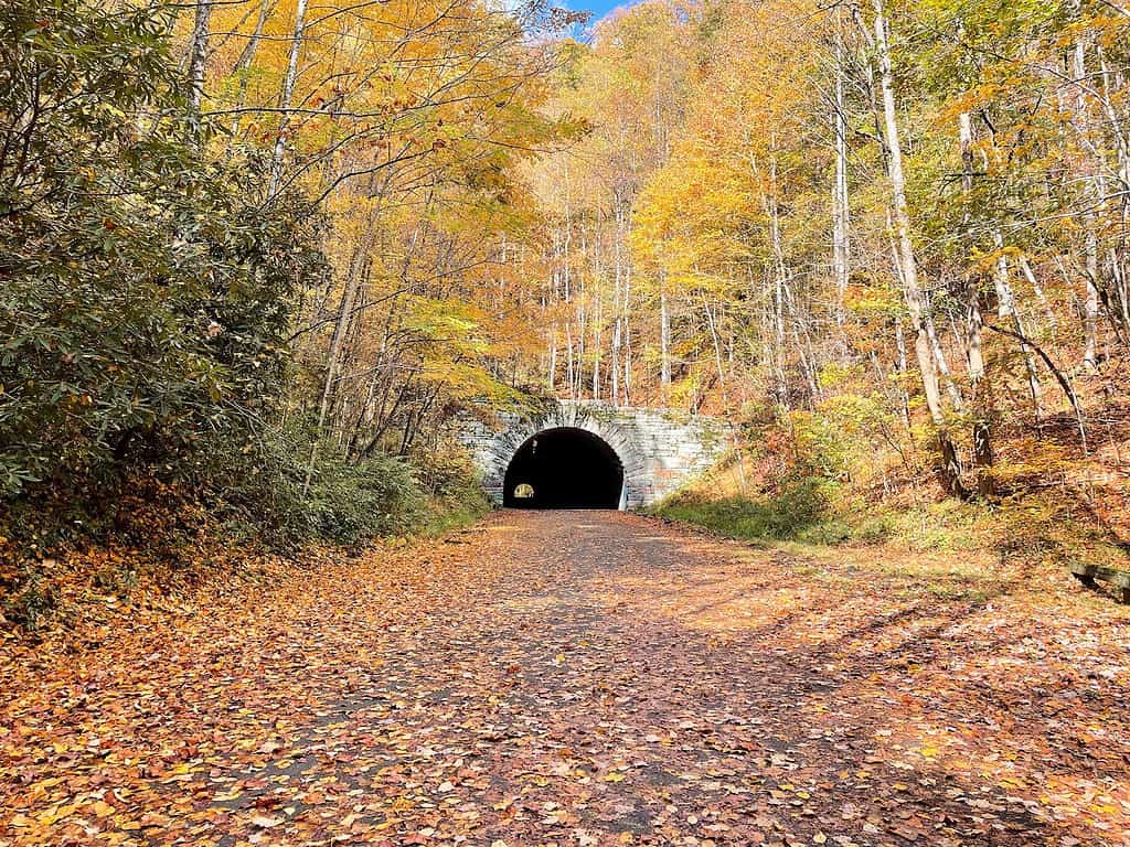 The tunnel at the end of the Road to Nowhere in North Carolina.