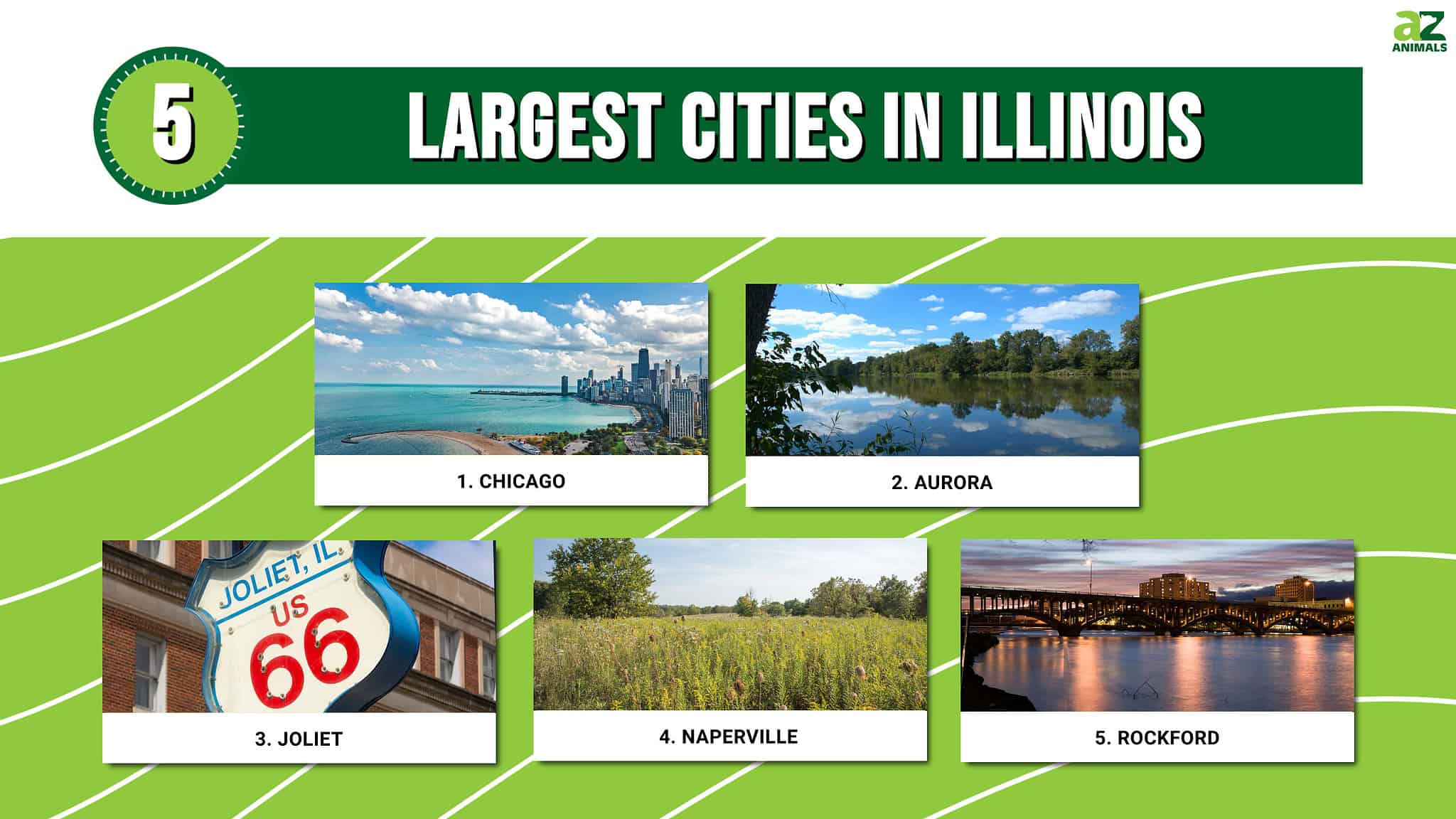 The 5 Largest Cities In Illinois In 2024 A Z Animals   6f91ff83f6ac93a320ee2bc83fa6d82d245d977c 2048x1152 