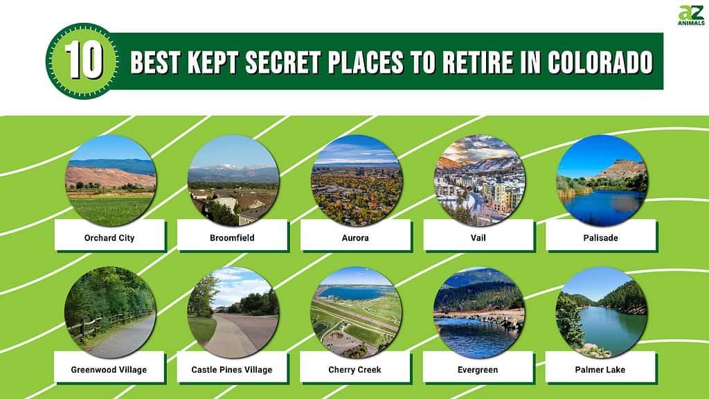 Infographic for the 10 Best Kept Secret Places to Retire in Colorado