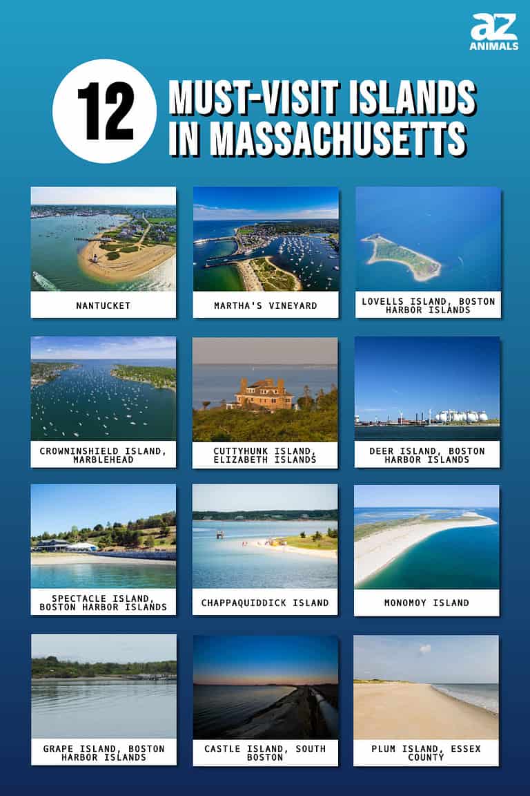 12 Must-Visit Islands in Massachusetts - A-Z Animals