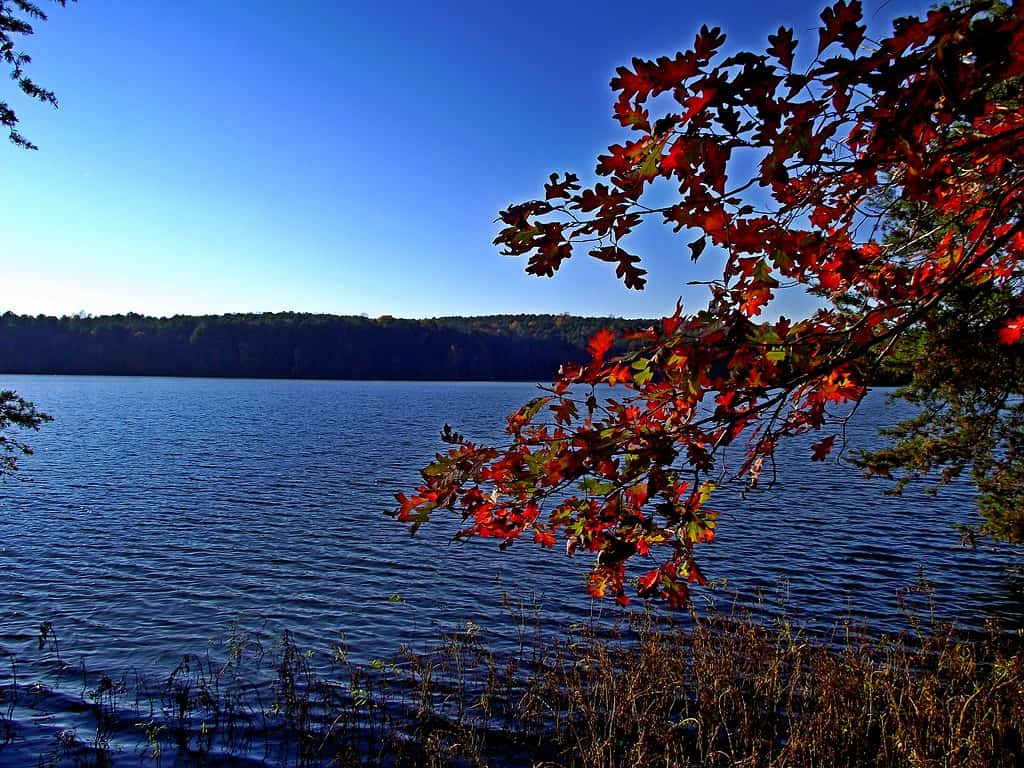Badin Lake, North Carolina