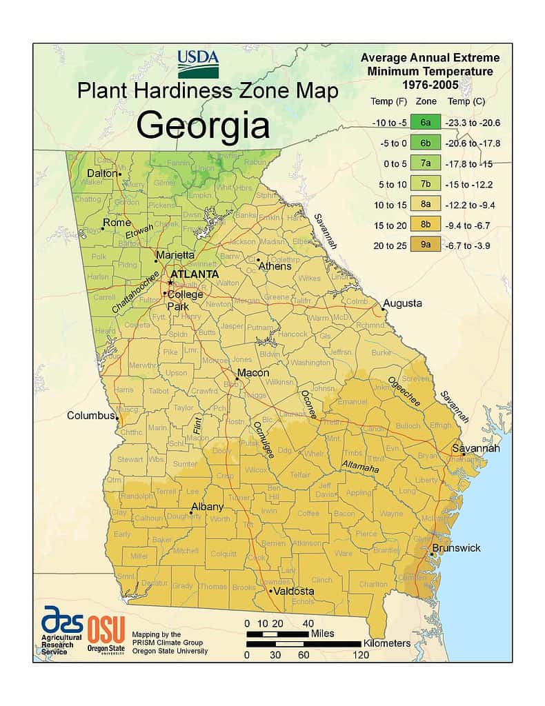 A map showing Georgia's USDA planting zones.