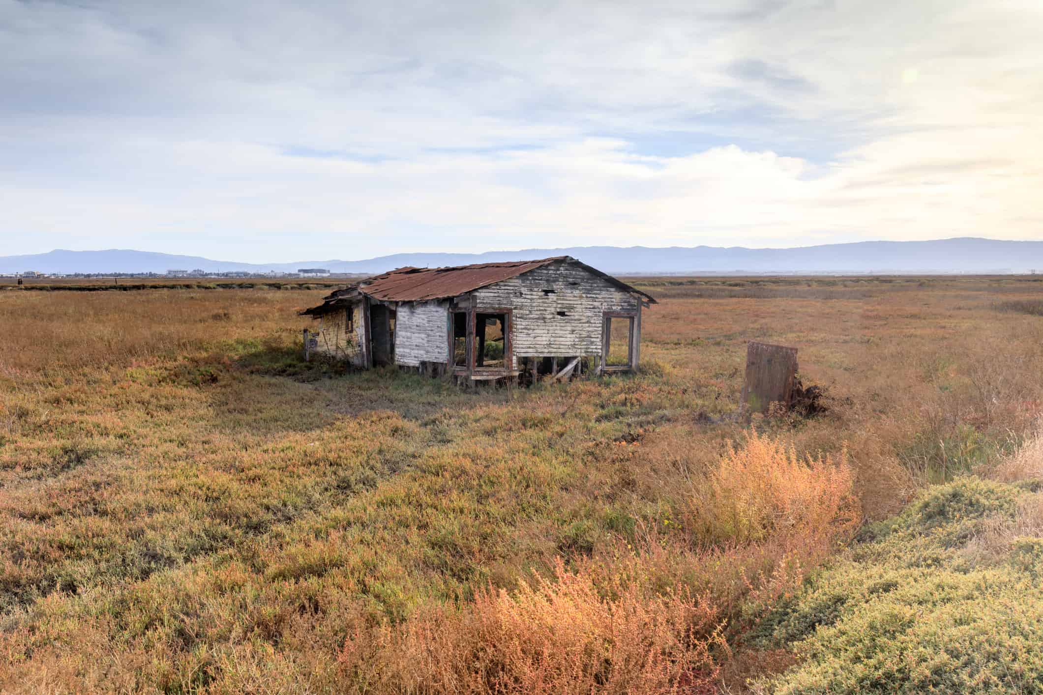 How looting in San Francisco turned the city into a ghost town