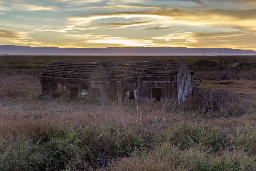 How looting in San Francisco turned the city into a ghost town