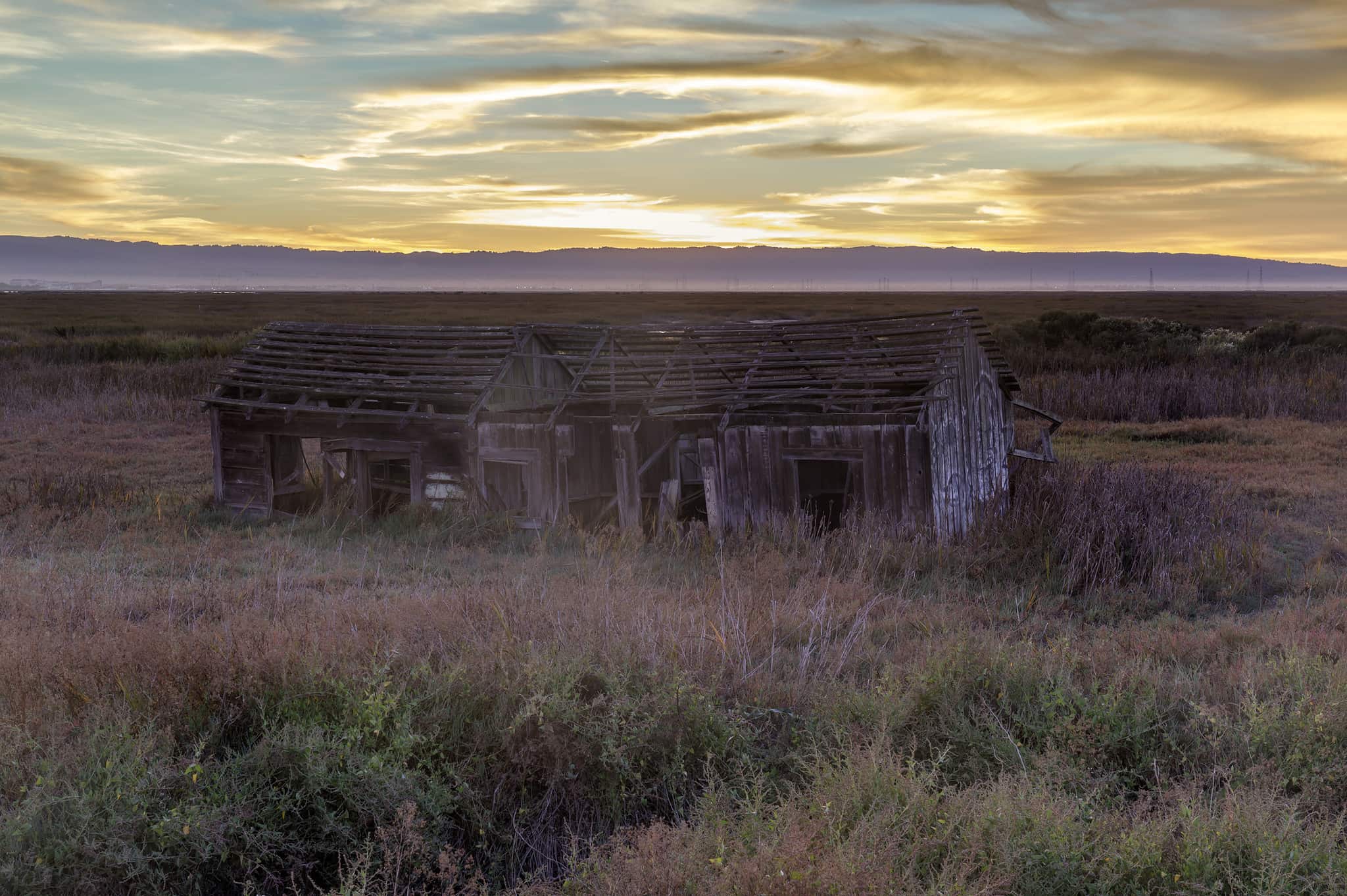 Drawbridge: The Disappearing Ghost Town of the Bay Area - A-Z Animals