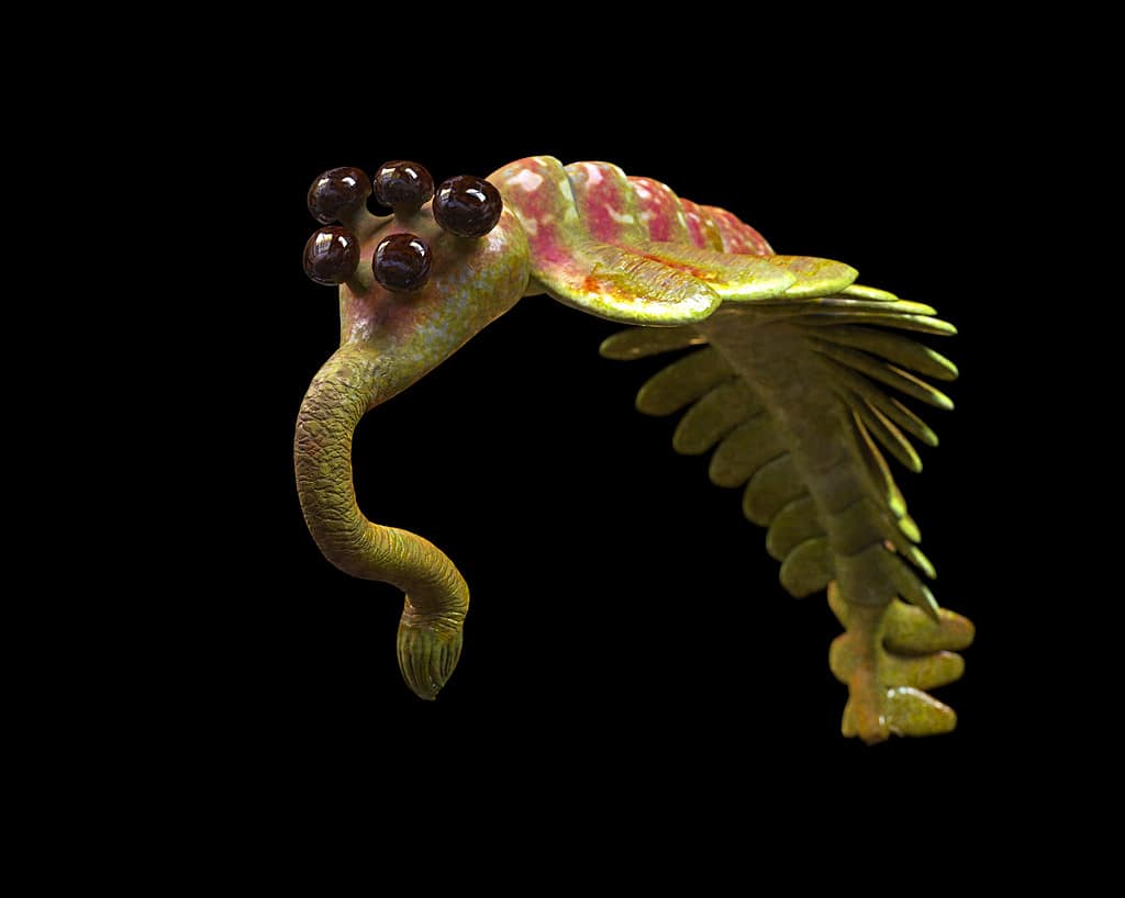 Opabinia regalis, prehistoric aquatic animal from 505 million ago to 487 million years ago isolated on black background (3d science rendering)