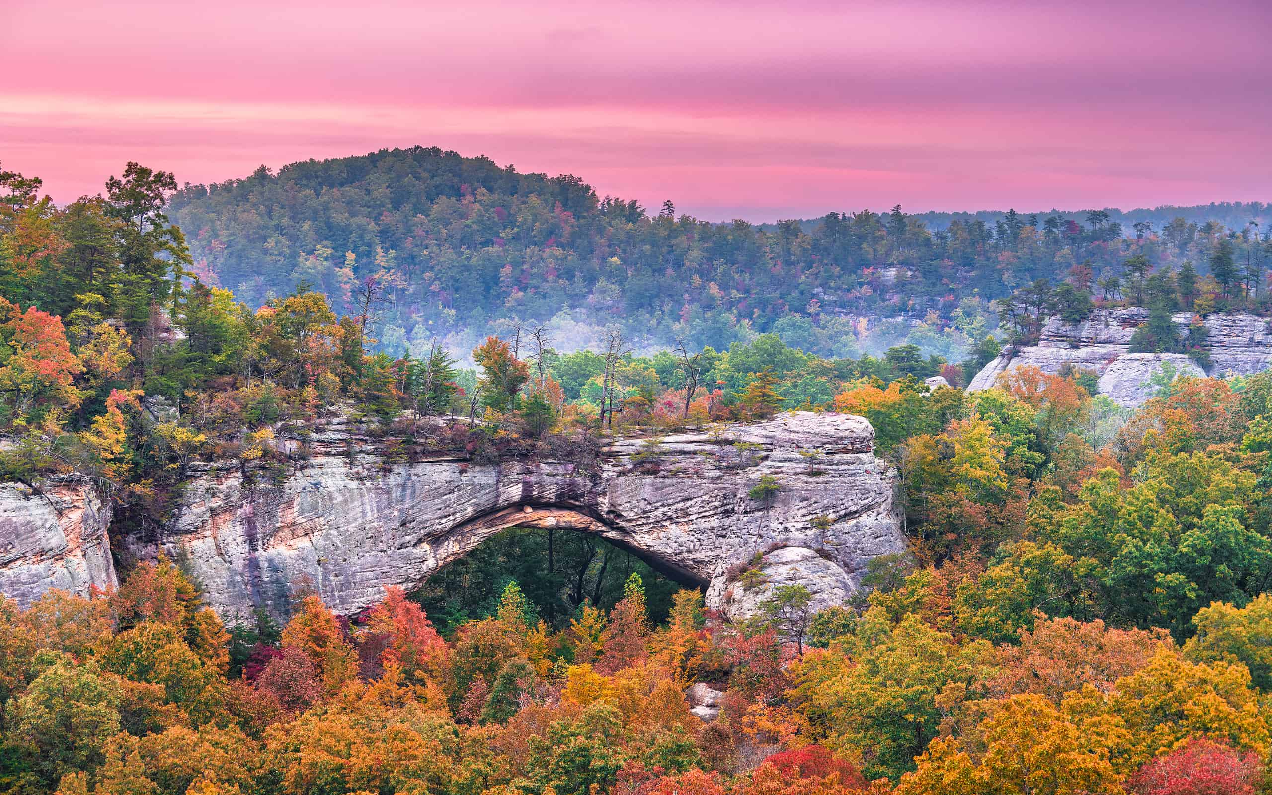 Daniel Boone National Forest