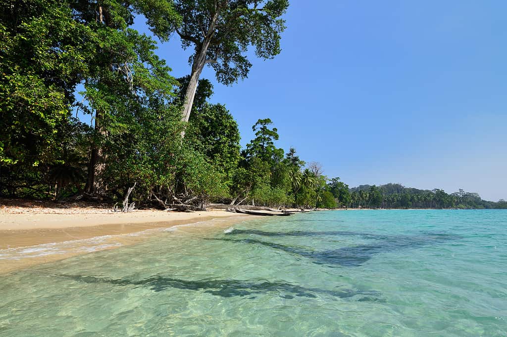 India beach on the Andaman island
