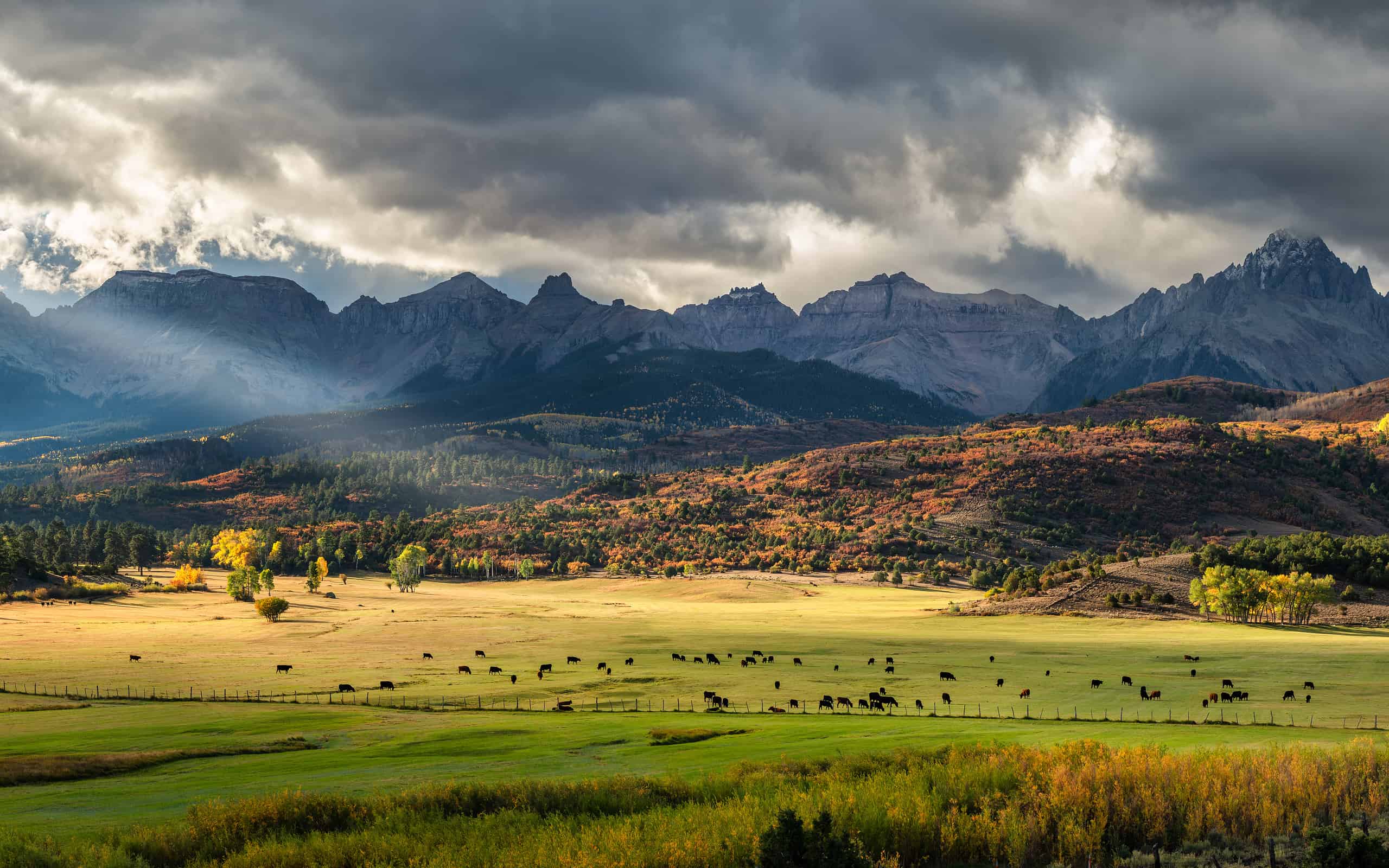 Autumn at a cattle ranch in Colorado near Ridgway - County Road 9 - Ralph Lauren Double RL - Rocky Mountains