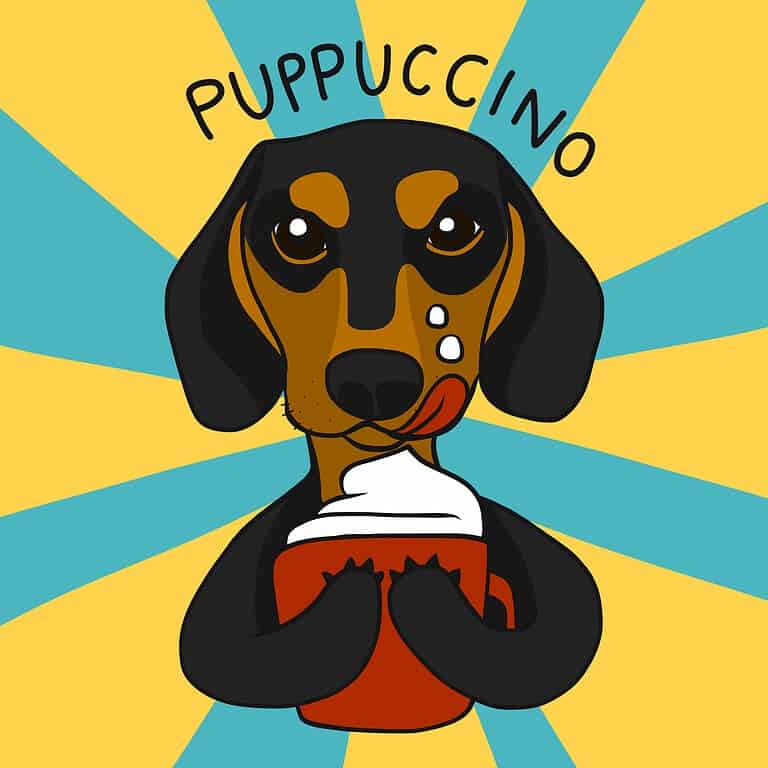 Starbucks offers free puppuccinos for pups, which are small cups filled with whipped cream.