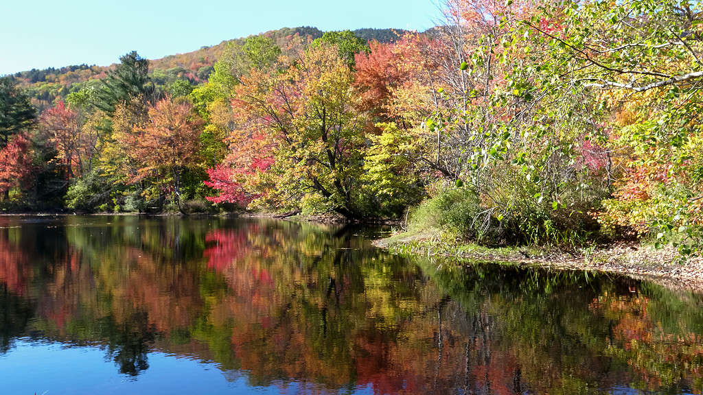 fall foliage reflected on a pond at newbury in new hampshire