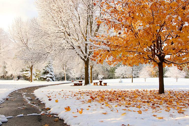 Early snow background, climate changing concept.