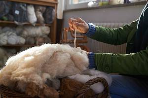 Discover the 10 Countries That Produce the Most Wool Picture
