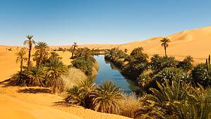 Do People Live in the Sahara Desert? Discover the 6 Most-Populated Spots Picture