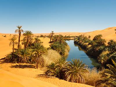 A Do People Live in the Sahara Desert? Discover the 6 Most-Populated Spots