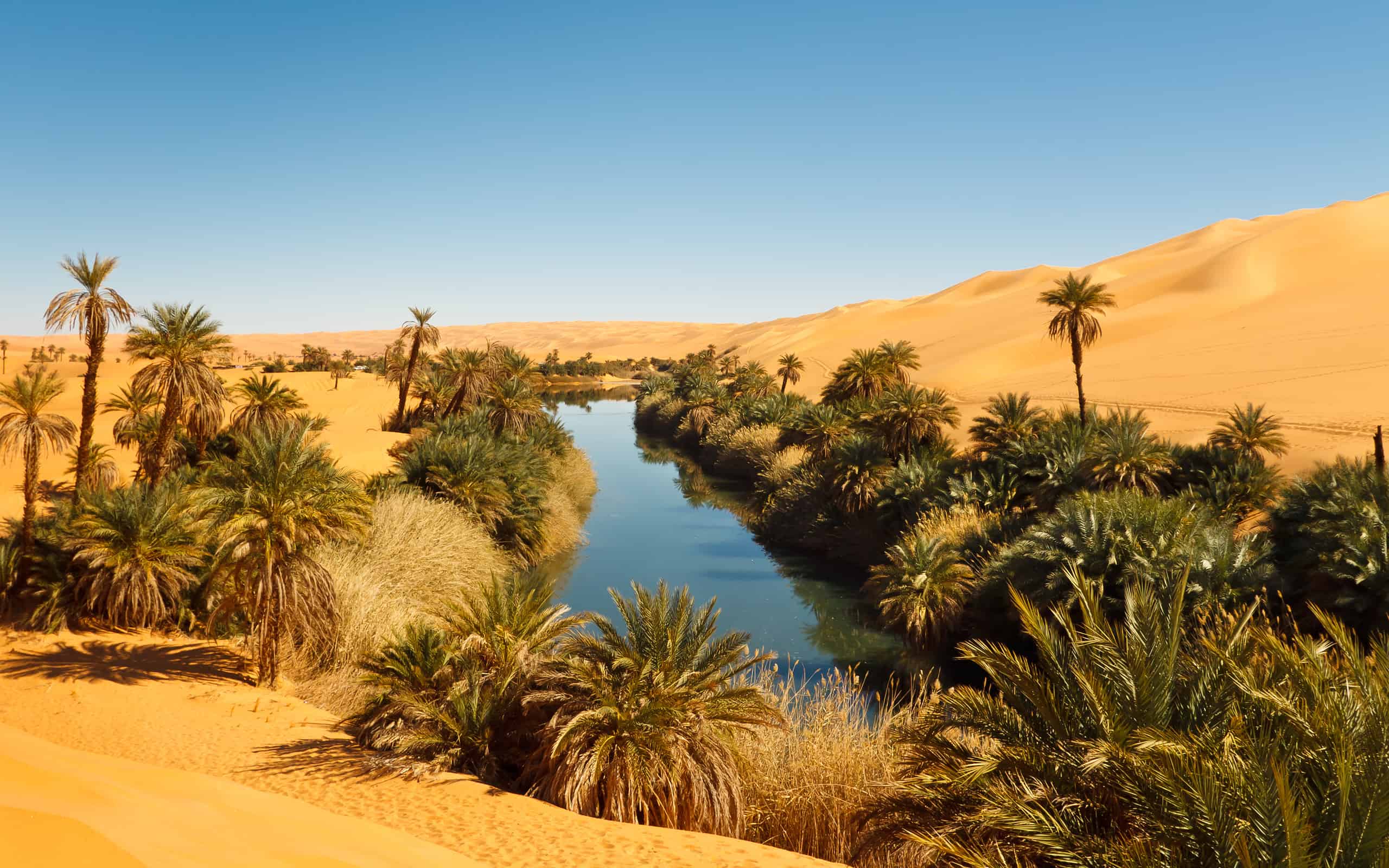 A Desert Oasis in Sahara, Libya