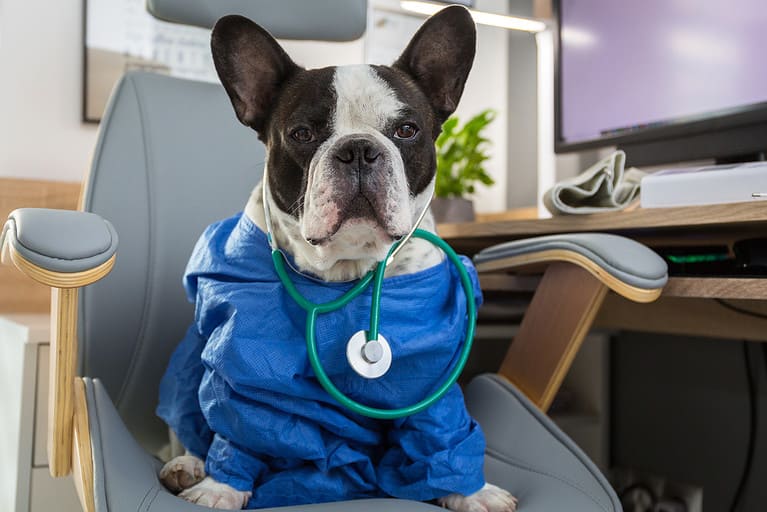 Prozac for dogs