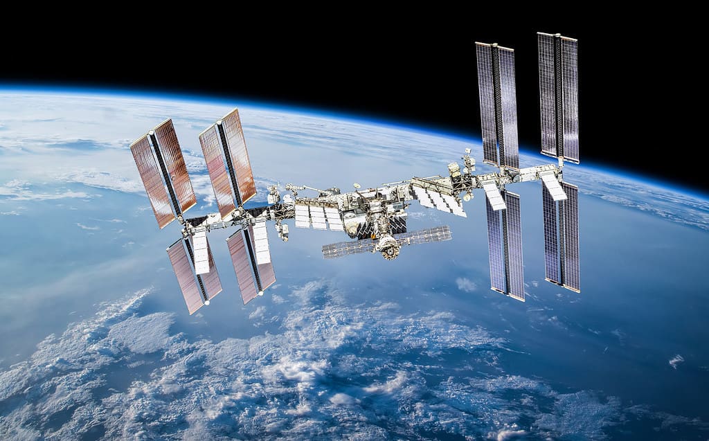 Aboard the International Space Station, scientists have studied extremophile fungi.