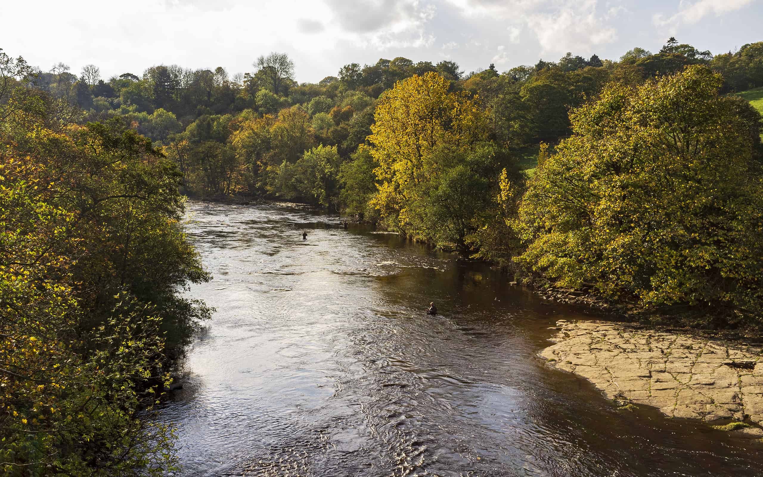 Fly fishing in the River Swale, North Yorkshire