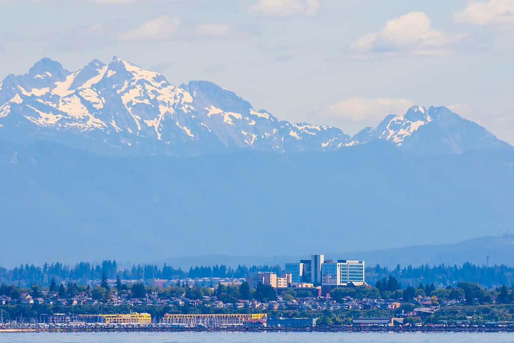 Everett Washington Skyline From Puget Sound