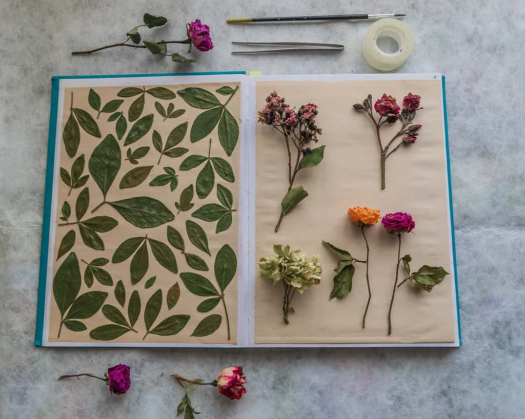 Notebook with dried flowers and leaves collage