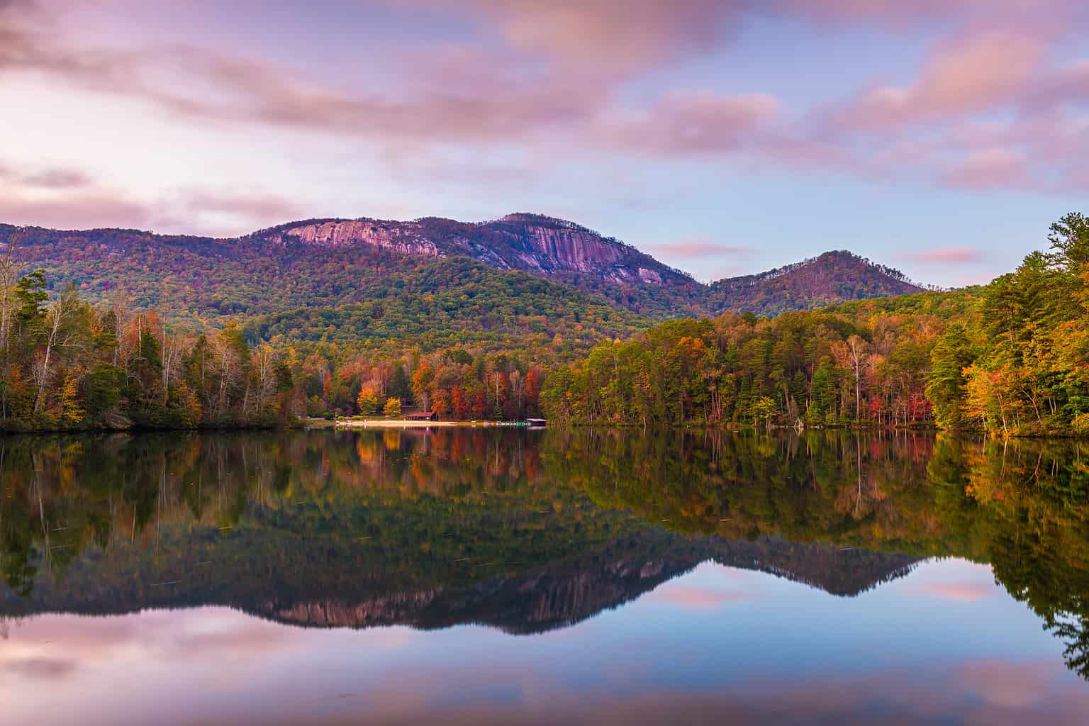 Meet The 10 Largest Landowners In South Carolina - A-Z Animals