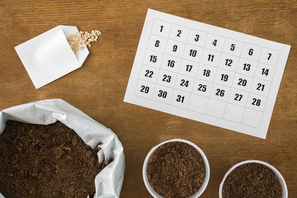 Planting calendar