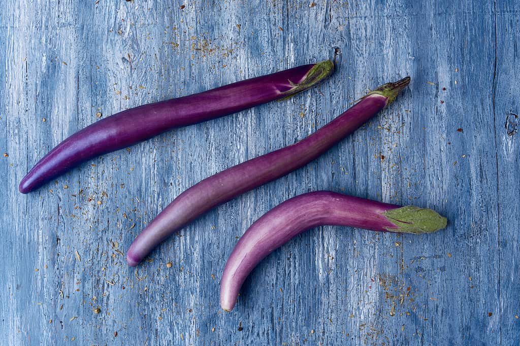 purple long japanese eggplants