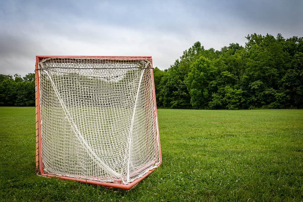 Lacrosse goals in the middle of a lawn in Veteran’s park, Lexington, Kentucky