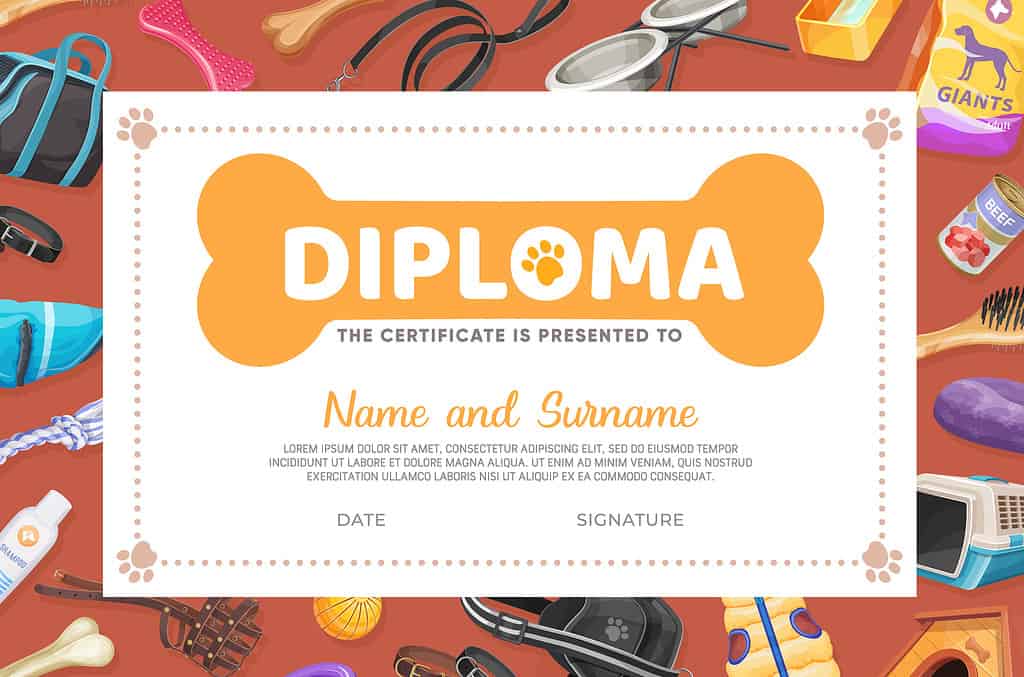 Dog pet care diploma, certificate vector template