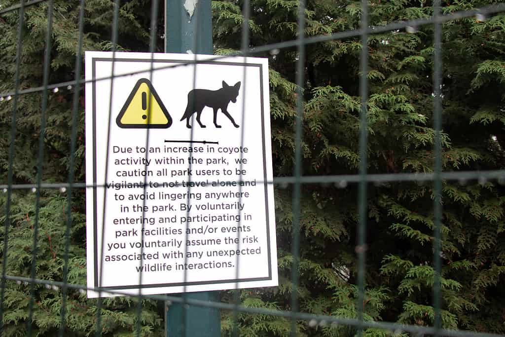 View of sign Coyotes in Stanley Park following attacks by animals on trails within the park in Vancouver
