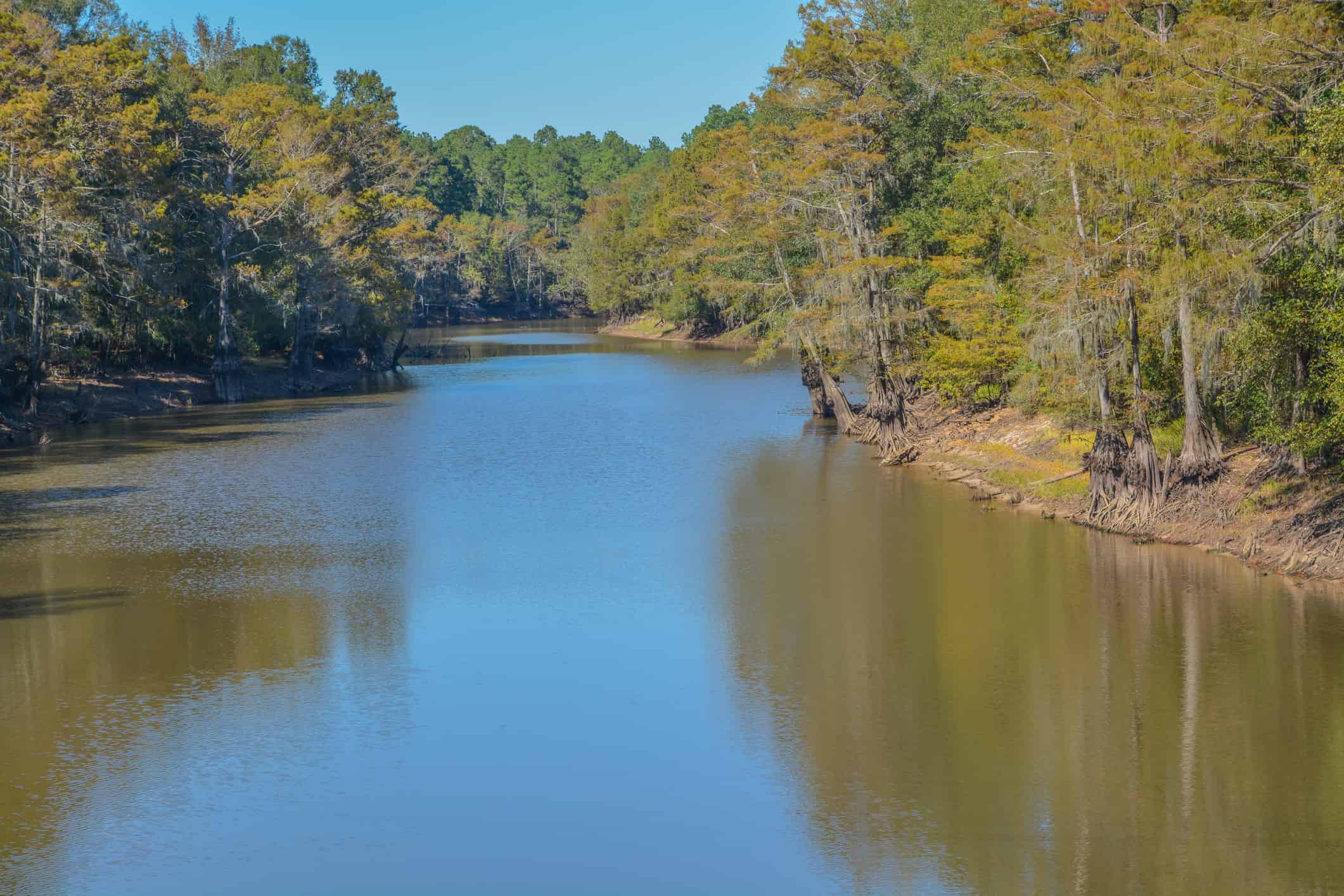 A scenic river flowing in Webster Parish in Louisiana