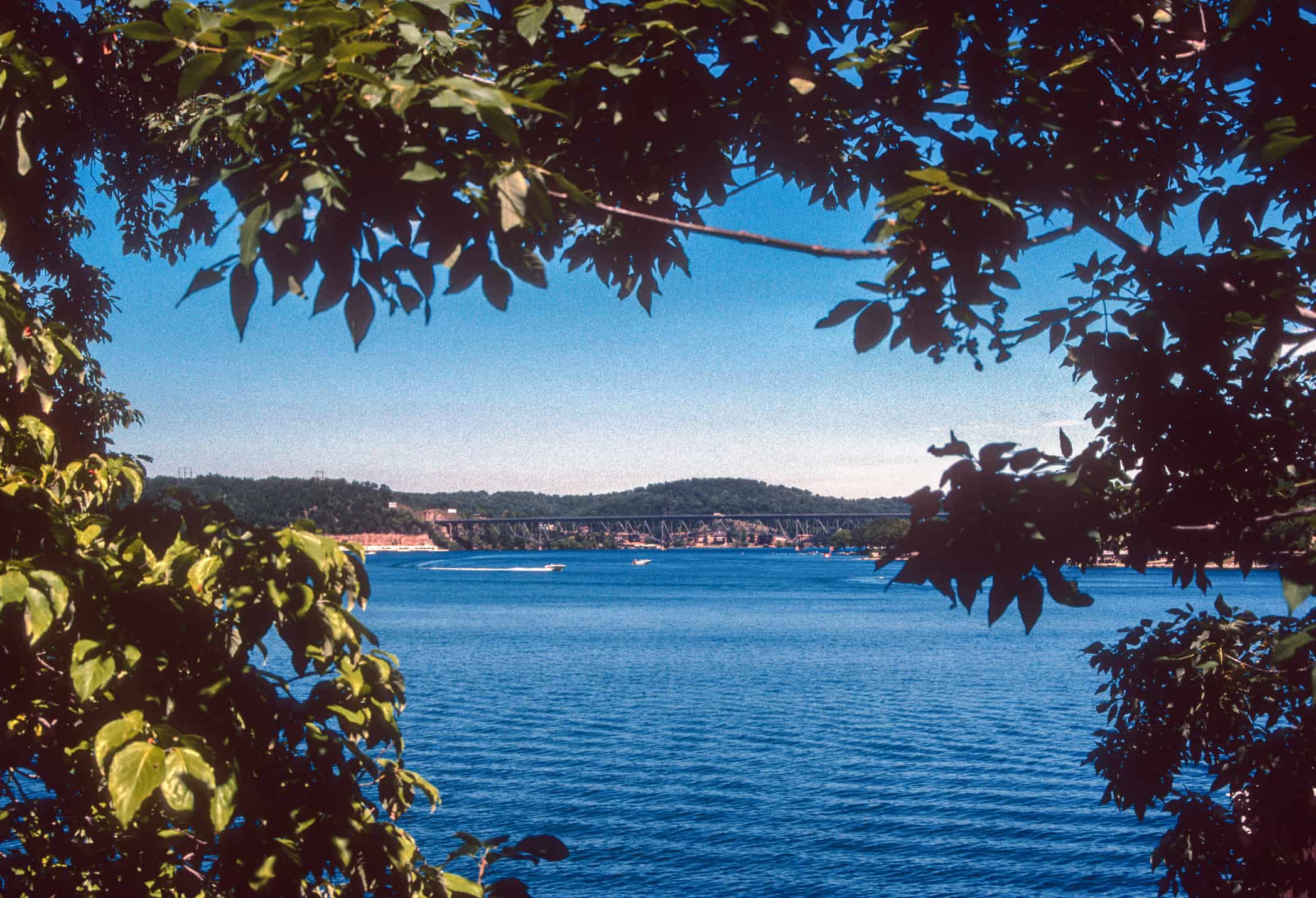 Lake of the Ozarks - Lake Viewed Thru Trees 1987