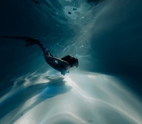 Did Sailors Really Mistake Manatees for Mythical Mermaids? - A-Z Animals