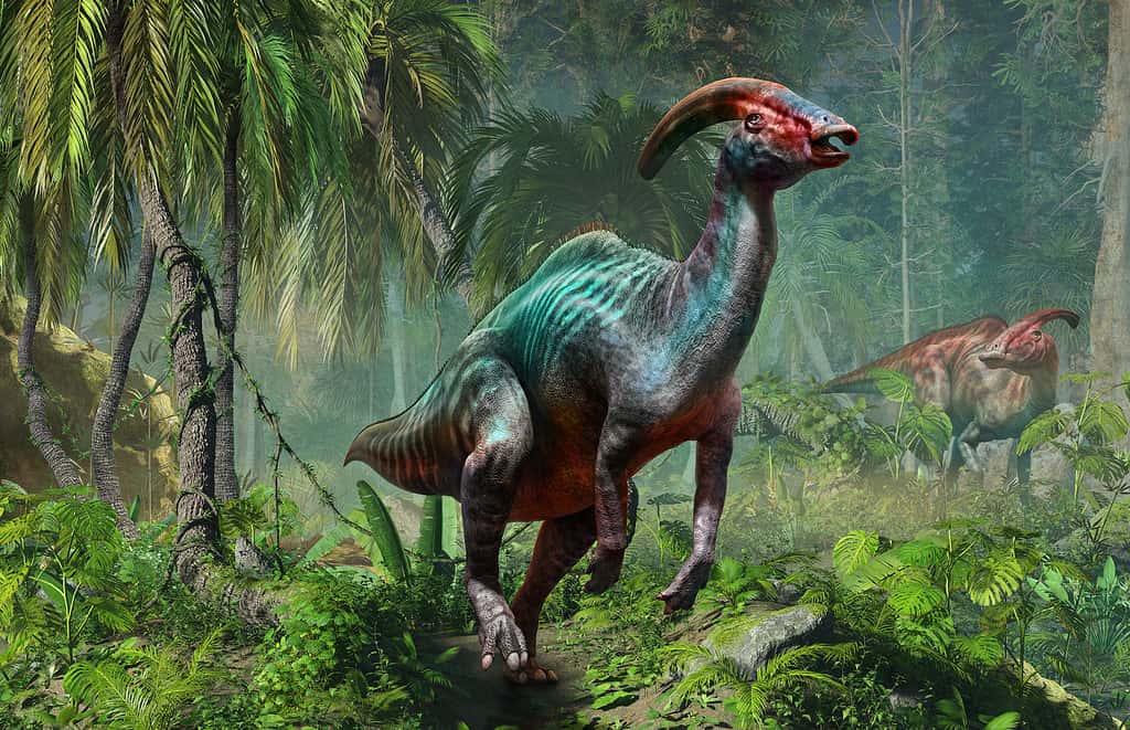 Parasaurolophus from the Cretaceous era 3D illustration
