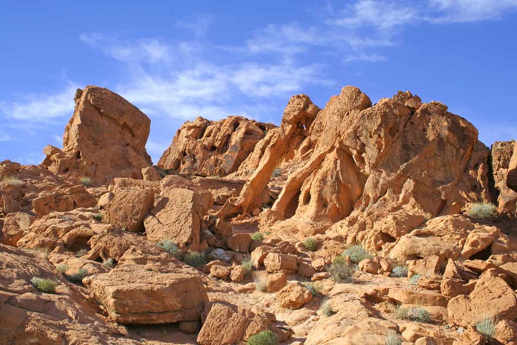 Elephant Rock, Nevada in the Valley of Fire State Park, Nevada