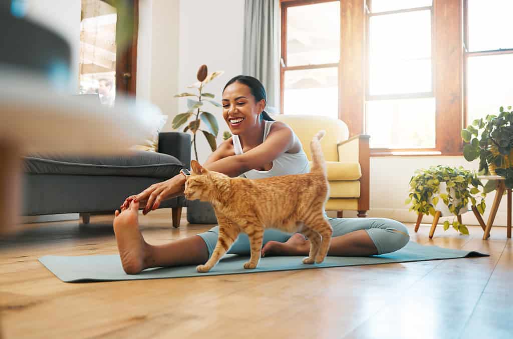 Shot of a sporty young woman stretching her legs while exercising at home with her pet cat