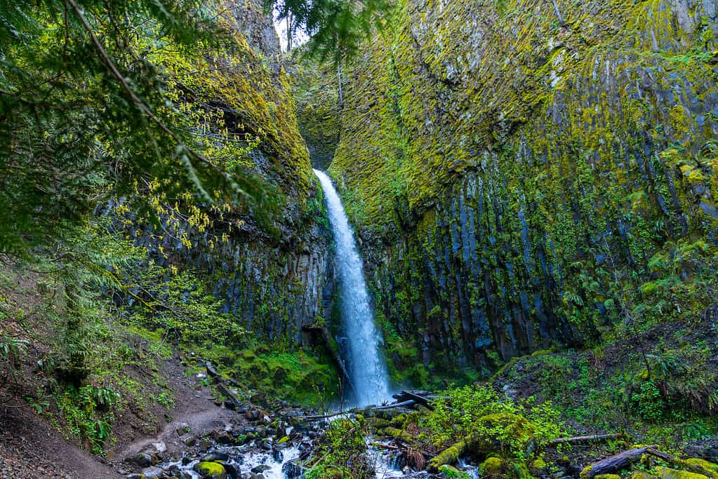 Dry Creek Waterfall Hike along the PCT in Cascade Locks, Oregon