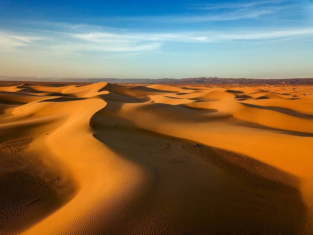 Sand dunes in Sahara desert