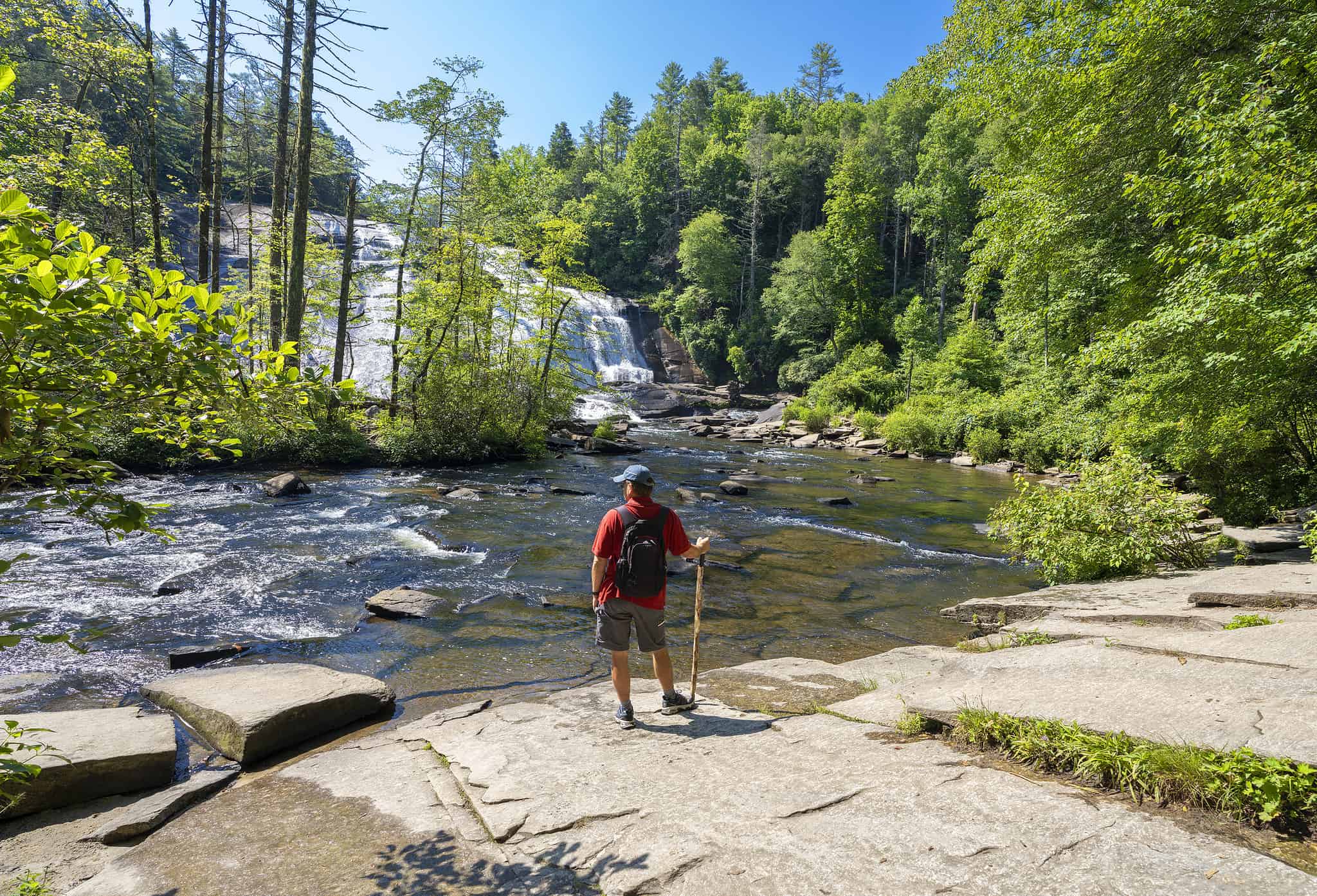 The 8 Best Hiking Trails in North Carolina with Amazing Views - A-Z Animals