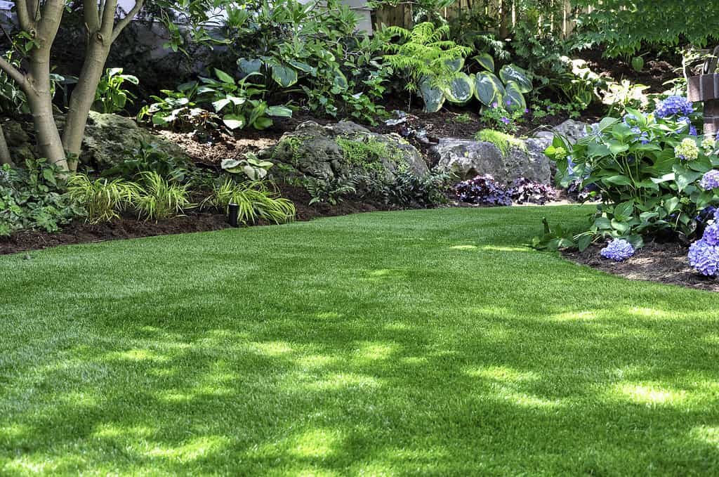 Artificial turf creates a natural look in a backyard garden.