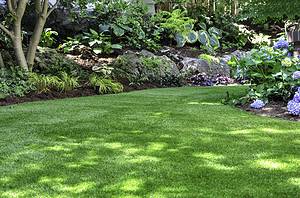 18 Easy Landscaping Ideas You Can Use to Make Your Small Backyard Feel Bigger Picture